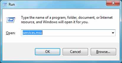 start the service manager